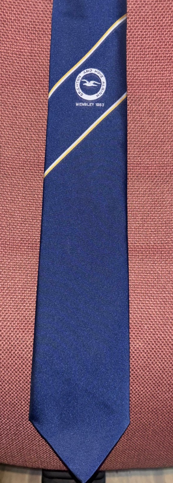 Vintage Brighton & Hove Albion 1983 FA Cup Final Football Club Tie — photo 2