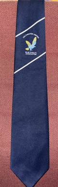 Vintage Colchester United Football Club FC Blue Eagles Association Neck Tie — photo 1
