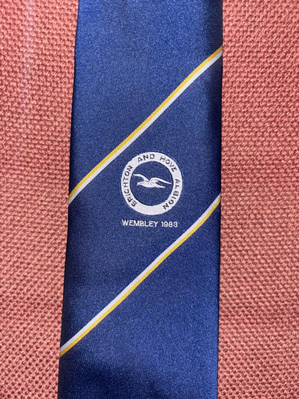 Vintage Brighton & Hove Albion 1983 FA Cup Final Football Club Tie — photo 1